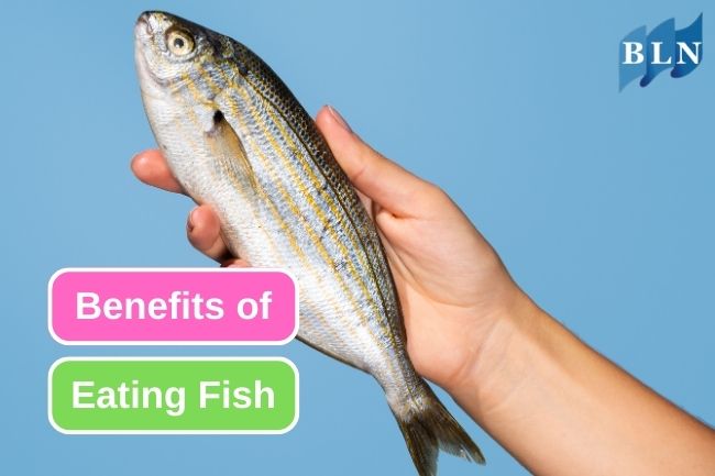 10 Health Benefits You Can Get from Eating Fish 